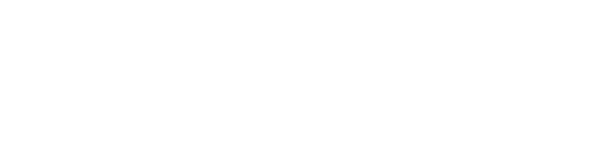 鶏の唐揚げ