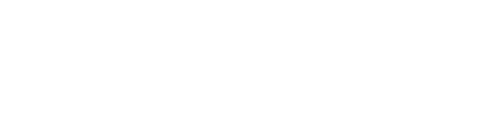 自家製餃子